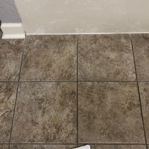 Meet your Posher, Bridgette